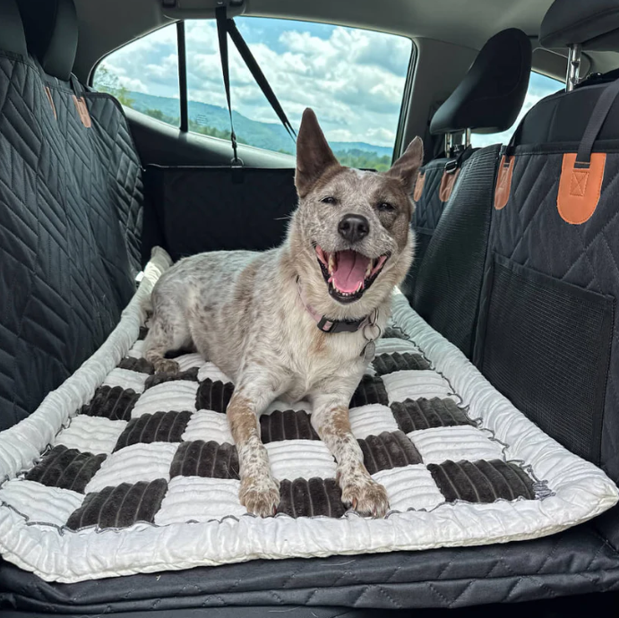 Regal Dog Bed - For The RuffBunks