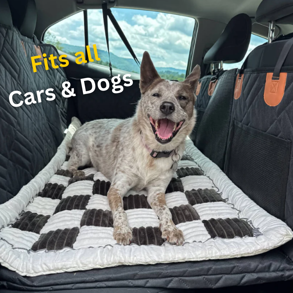 RuffBunks - Hard Bottom Dog Seat Protector + (FREE Dog Bed)